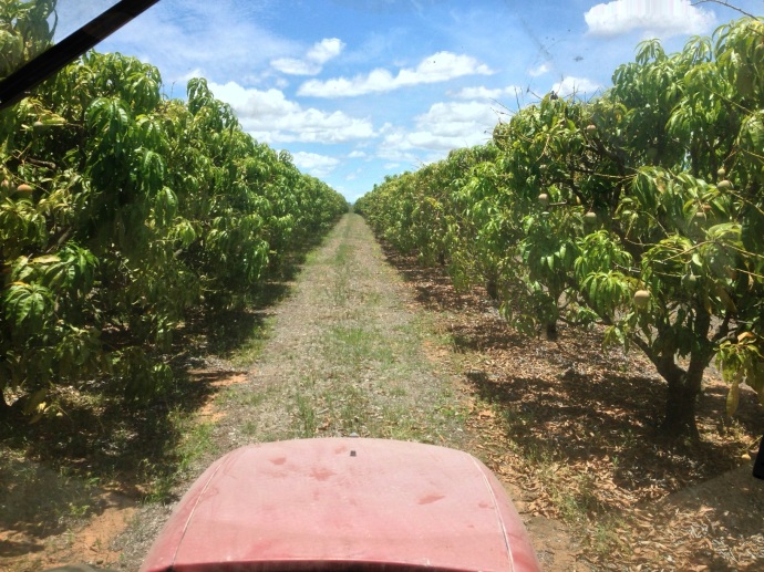 View from the tractor!