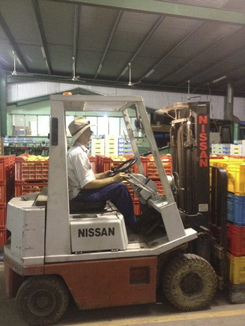 A laugh at the manager learning to drive the forklift!